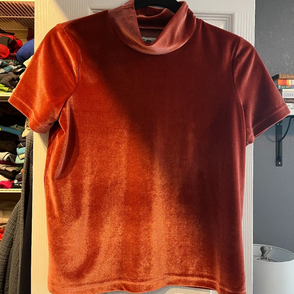 Madewell Rust Velvet Mockneck Tee